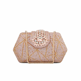 Modern Lifestyle ChamPagne Fancy Clutch P24202