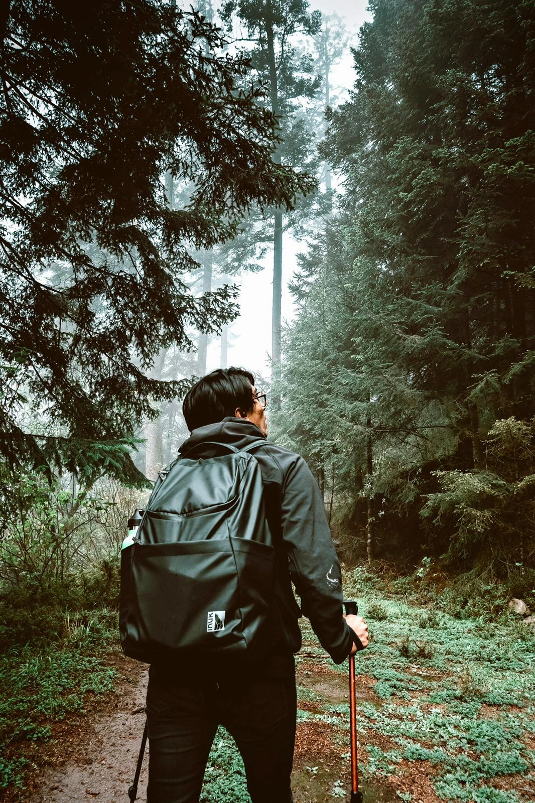 Watershed Aurlands Backpack - Recycled Materials (28L) Stylish Function Urban Adventure