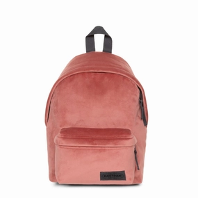 Eastpak - Padded Pak'R Backpack (7ZNEGT1) mountain hiking Weather Protection