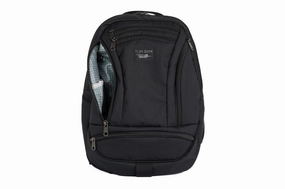 Adventure Routine Synapse 19